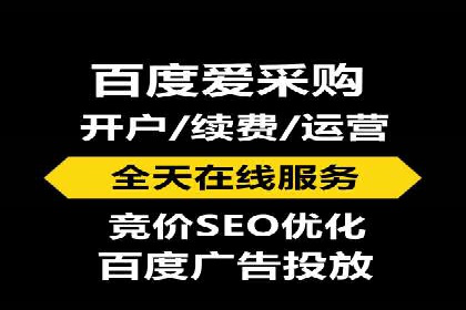 SEM服务优势案例分享